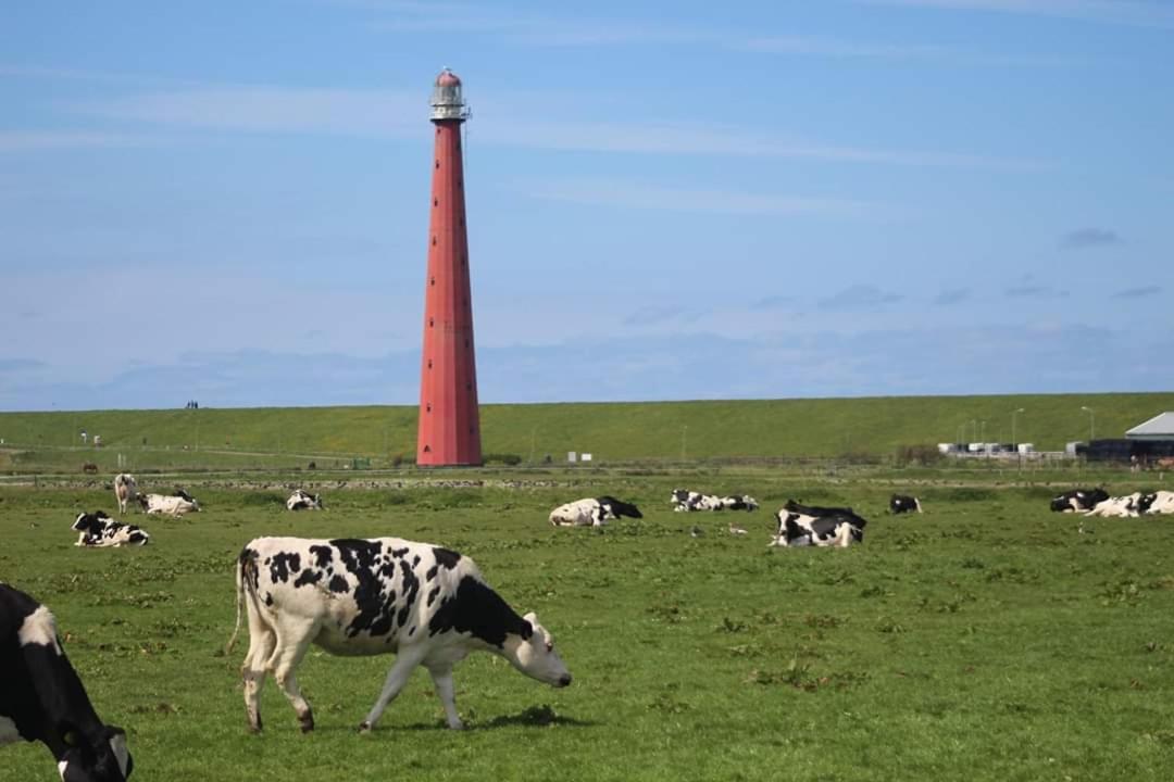 Overnachten Onder De Lange Jaap Den Helder Eksteriør billede