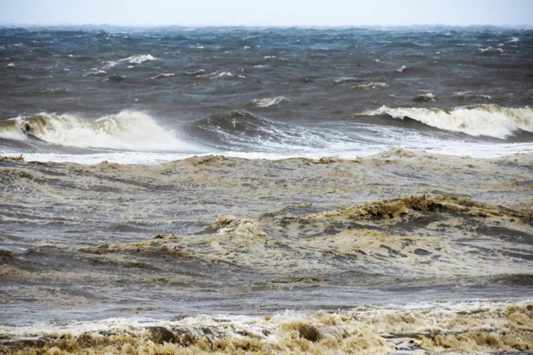 Overnachten Onder De Lange Jaap Den Helder Eksteriør billede